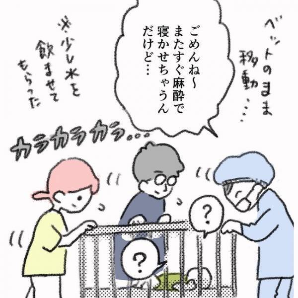 ついに手術開始！手術中、ママを苦しめたのはまさかのアレ！ ＜息子の目に障がい＞