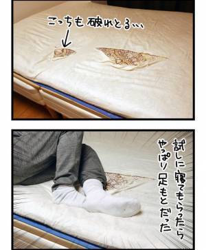 「わっ、地震かっ！？」バタバタと鳴り響く深夜の異常な音。その驚くべき正体は…