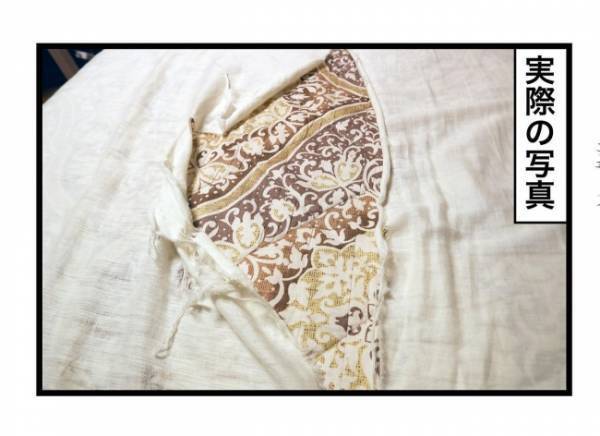 「わっ、地震かっ！？」バタバタと鳴り響く深夜の異常な音。その驚くべき正体は…