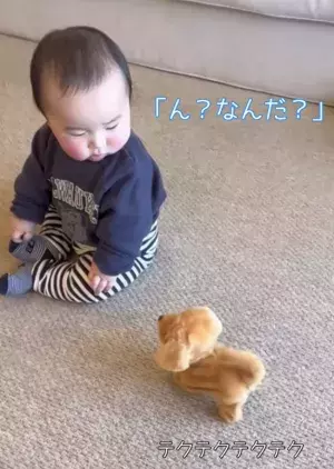 赤ちゃんが、おもちゃのわんこに♡