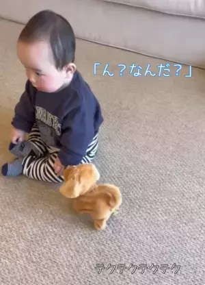 213万回再生！「ん？なんだ？」近づいてくる、自分より小さな存在…→赤ちゃんがとった行動は！？