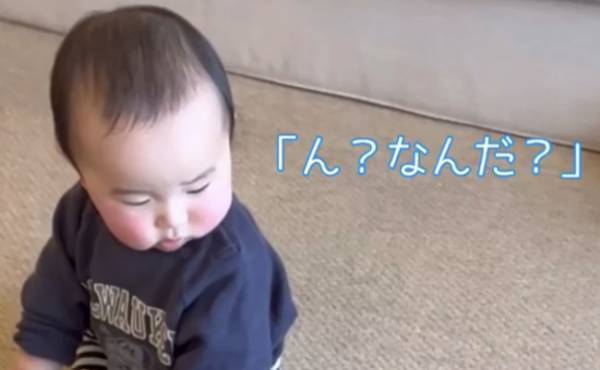 213万回再生！「ん？なんだ？」近づいてくる、自分より小さな存在…→赤ちゃんがとった行動は！？