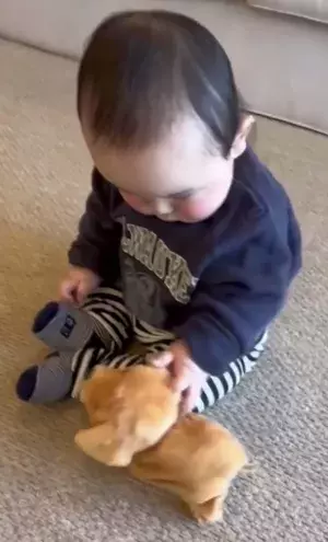 赤ちゃんが、おもちゃのわんこに♡