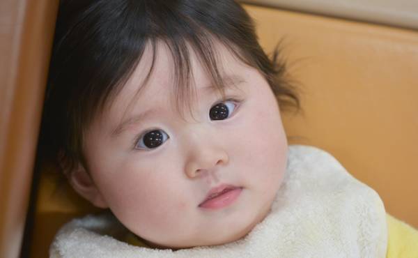 「干支ネーム」が増加！カッコイイ干支は名付けに人気！1月、男の子に人気の名前は？