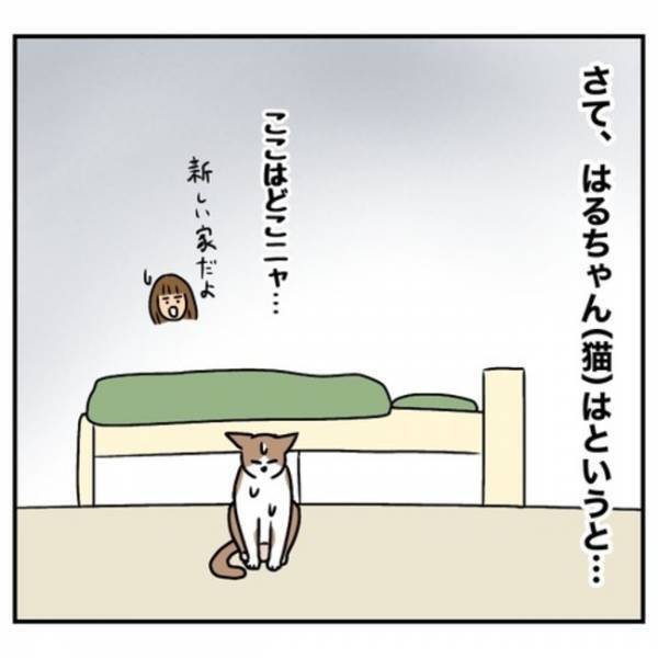 「子どもがうるさい！」騒音トラブルで戸建てを購入→引っ越し後、父親の変化と母親の思いとは？