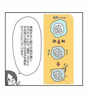 モニターに注目！ついに迎えた移植の瞬間！感動的な映像にじーんとくる… ＜原因不明不妊＞