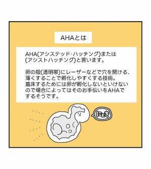 モニターに注目！ついに迎えた移植の瞬間！感動的な映像にじーんとくる… ＜原因不明不妊＞