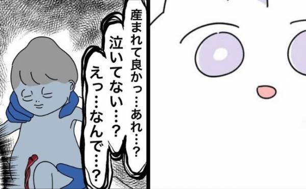 「泣かないし頭がテトリス型や…」19時間の格闘の末やっと生まれた娘！しかし反応なし…どうなる！？