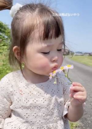 14万回再生！「ふうぅぅぅっ！！」お散歩中にタンポポの綿毛を発見♪⇒その後、まさかの展開に…！？