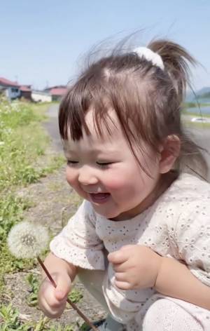 14万回再生！「ふうぅぅぅっ！！」お散歩中にタンポポの綿毛を発見♪⇒その後、まさかの展開に…！？