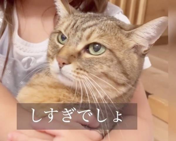 11万回再生！「さっきからごめんね…」大好きだからしつこくキッス♡⇒お姉さんニャンコの反応は！？