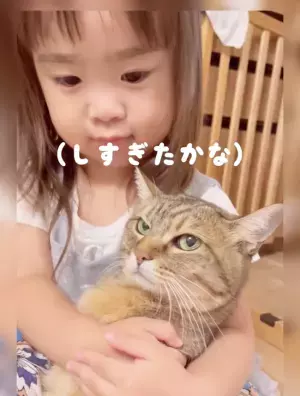 11万回再生！「さっきからごめんね…」大好きだからしつこくキッス♡⇒お姉さんニャンコの反応は！？