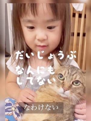 11万回再生！「さっきからごめんね…」大好きだからしつこくキッス♡⇒お姉さんニャンコの反応は！？