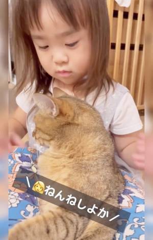 11万回再生！「さっきからごめんね…」大好きだからしつこくキッス♡⇒お姉さんニャンコの反応は！？