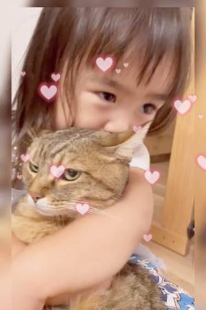 11万回再生！「さっきからごめんね…」大好きだからしつこくキッス♡⇒お姉さんニャンコの反応は！？