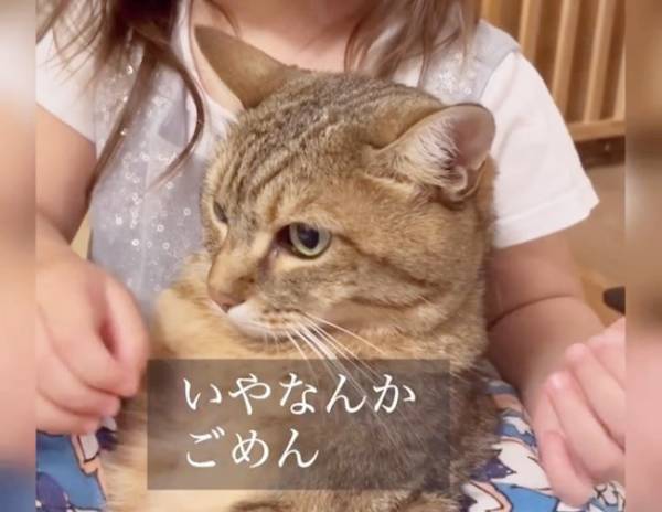 11万回再生！「さっきからごめんね…」大好きだからしつこくキッス♡⇒お姉さんニャンコの反応は！？