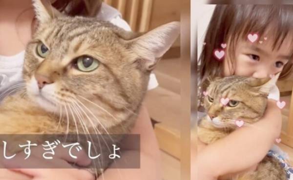 11万回再生！「さっきからごめんね…」大好きだからしつこくキッス♡⇒お姉さんニャンコの反応は！？