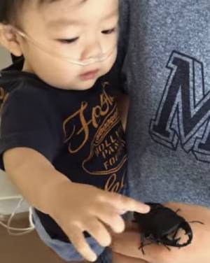 27万回再生！泣いてる男の子がパパの手を見て「ニコッ♡」→まさかの理由とは？