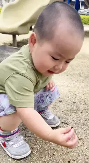 32万回再生！シャキーン★勝負だ！ダンゴムシ！⇒勇気を出して捕まえたけれど、予想外の結末に…！？