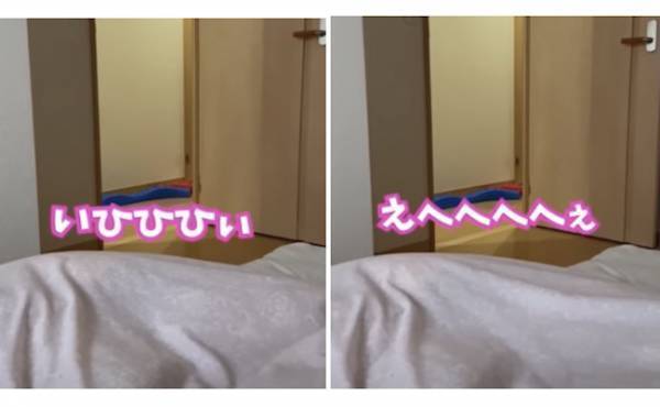 1056万回再生！お姉ちゃんが妹をお昼寝に誘ってみたら…→可愛すぎたまさかの行動とは？