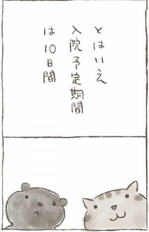 「妊娠を考えているのなら…」子宮全摘するか否かの2択に迫られて＜1268gの子宮筋腫＞