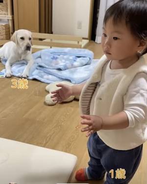 27万回再生！ダンスをする女の子を見たワンコ→まさかの反応に「可愛い」「たまらん」の声