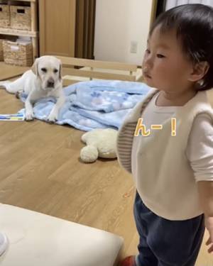 27万回再生！ダンスをする女の子を見たワンコ→まさかの反応に「可愛い」「たまらん」の声