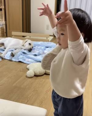 27万回再生！ダンスをする女の子を見たワンコ→まさかの反応に「可愛い」「たまらん」の声
