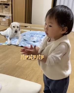 27万回再生！ダンスをする女の子を見たワンコ→まさかの反応に「可愛い」「たまらん」の声