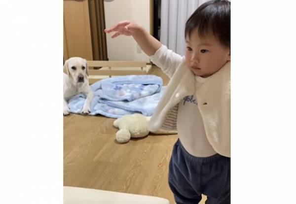 27万回再生！ダンスをする女の子を見たワンコ→まさかの反応に「可愛い」「たまらん」の声