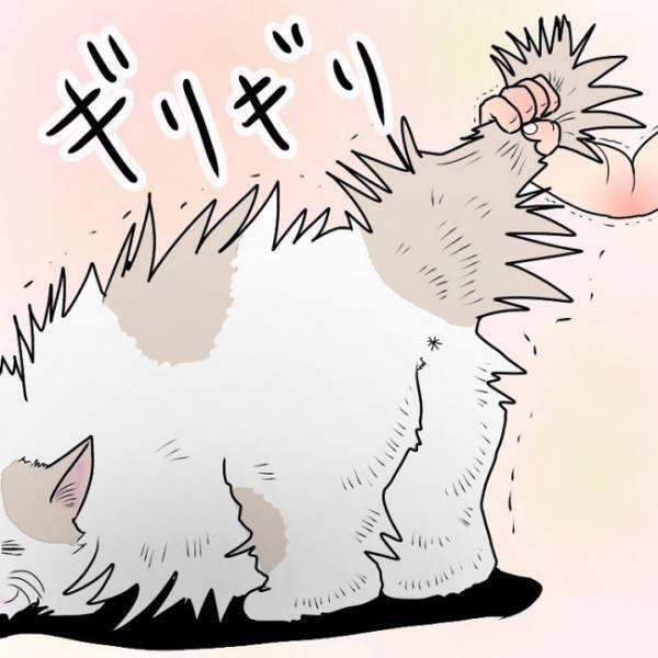 ペットに興味津々の娘。力強く毛を掴むとなかなか離さず！痛いはずなのに猫は驚きの反応を示して！？