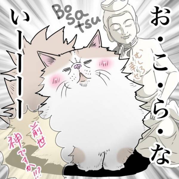 ペットに興味津々の娘。力強く毛を掴むとなかなか離さず！痛いはずなのに猫は驚きの反応を示して！？