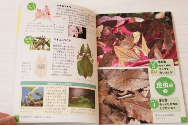 【ハッピーセット】マクドナルドの新作絵本と図鑑がスゴイ！絶対GETしたい大人気シリーズの中身は？