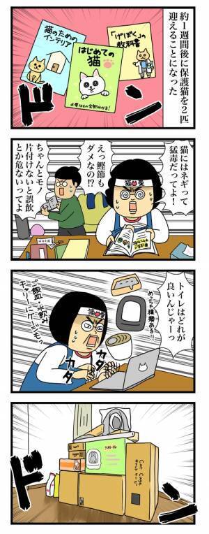 1週間後、保護猫がわが家に来ることが決定♪早速リサーチ＆片付けに奮闘！…のはずがまさかの展開に！