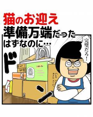 1週間後、保護猫がわが家に来ることが決定♪早速リサーチ＆片付けに奮闘！…のはずがまさかの展開に！