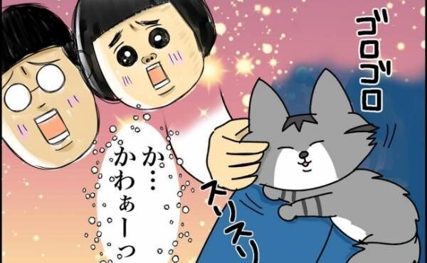 「かっ、かわぁ～…！」保護猫のかわいさに夫婦でメロメロ♡しかし30分後、新たな問題が発生して！？