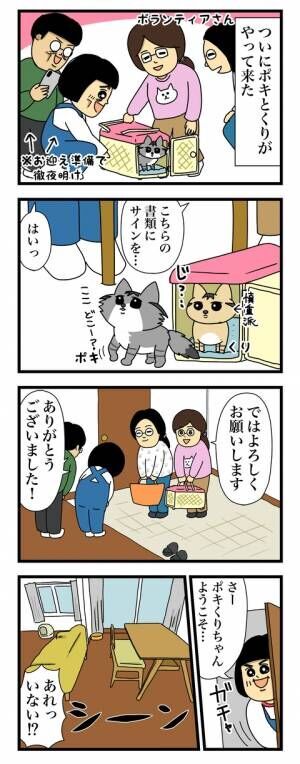 保護猫2