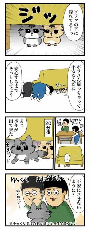 保護猫2