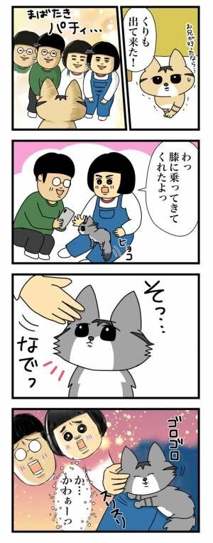 保護猫2