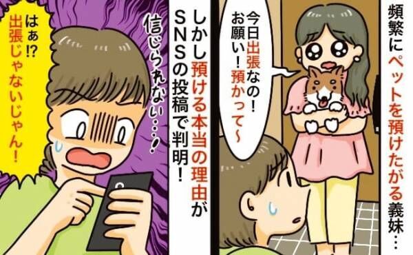 「出張だから犬を預かって♡」」わが家をペットホテル扱いする義妹⇒預ける本当の理由がSNSで判明…