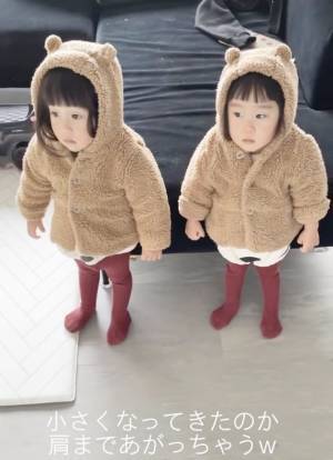 かわいすぎる双子のクマさん！？→正面から見てみると、驚きの姿が…！