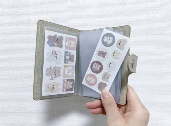 【100均】もっと早く知りたかった…！「カードケース」を使った収納術が便利すぎて目からウロコ！