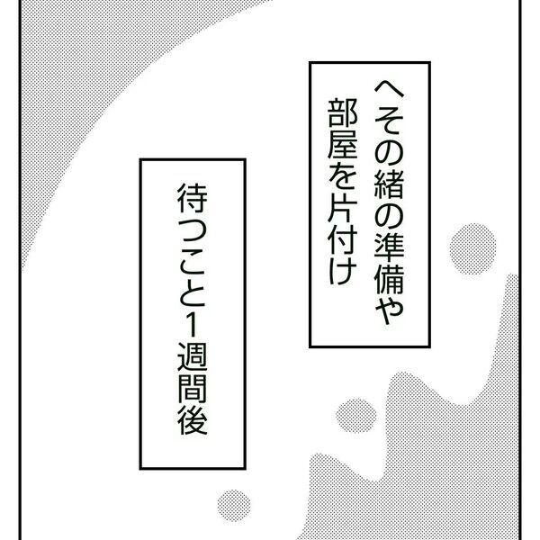 「これで終わりじゃないの！？」わが子の出生証明書の発行に奔走し… ＜真冬の車内で出産した話＞