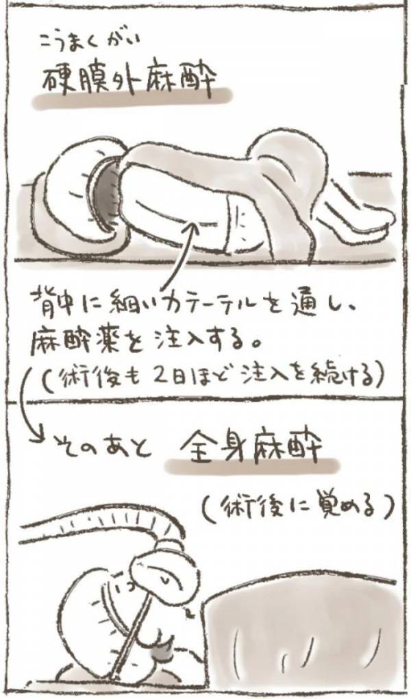 「退院したので…」病み上がりの母から送られてきた、驚きのメールとは？＜1268gの子宮筋腫＞