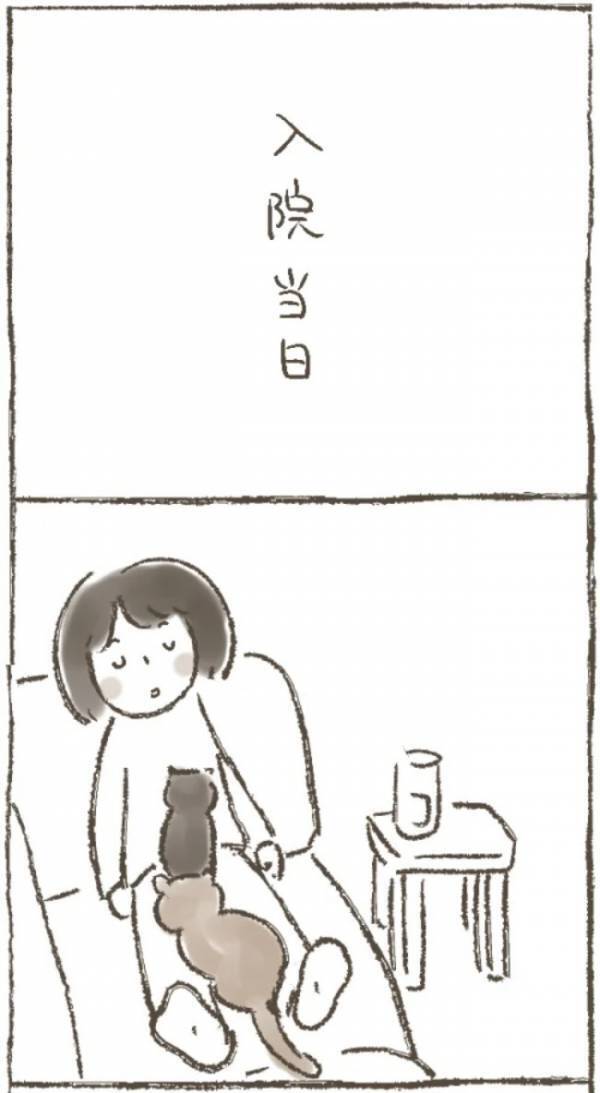 「退院したので…」病み上がりの母から送られてきた、驚きのメールとは？＜1268gの子宮筋腫＞