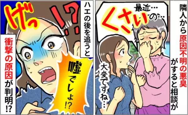 「嘘でしょ！？」悪臭に困っていると話すお隣さん→わが家に出たハエを辿ると衝撃の光景が…原因は！？