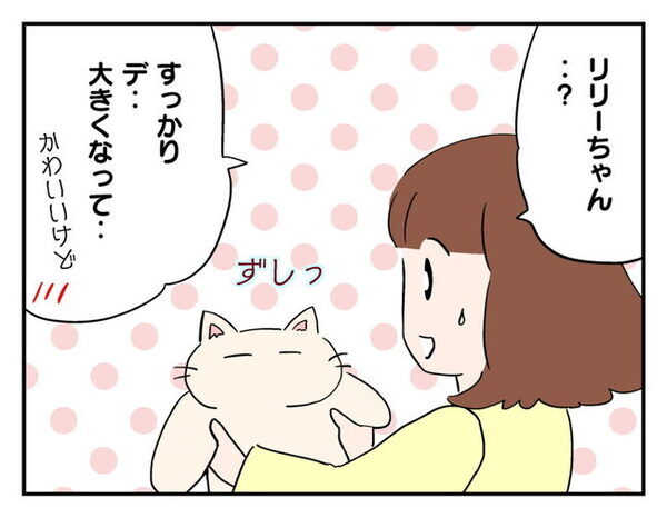 「物音がする…」窓の外に突然の来訪者！？変わり果てた姿にびっくり ＜猫を押し付けるママ友＞