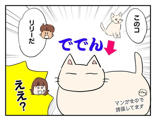 「物音がする…」窓の外に突然の来訪者！？変わり果てた姿にびっくり ＜猫を押し付けるママ友＞