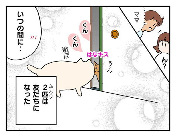 「物音がする…」窓の外に突然の来訪者！？変わり果てた姿にびっくり ＜猫を押し付けるママ友＞