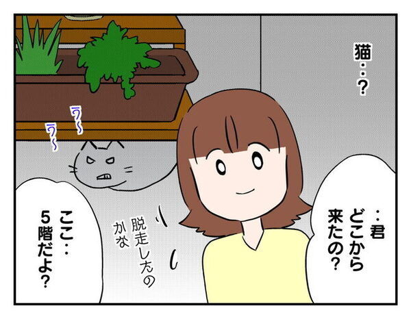 「物音がする…」窓の外に突然の来訪者！？変わり果てた姿にびっくり ＜猫を押し付けるママ友＞